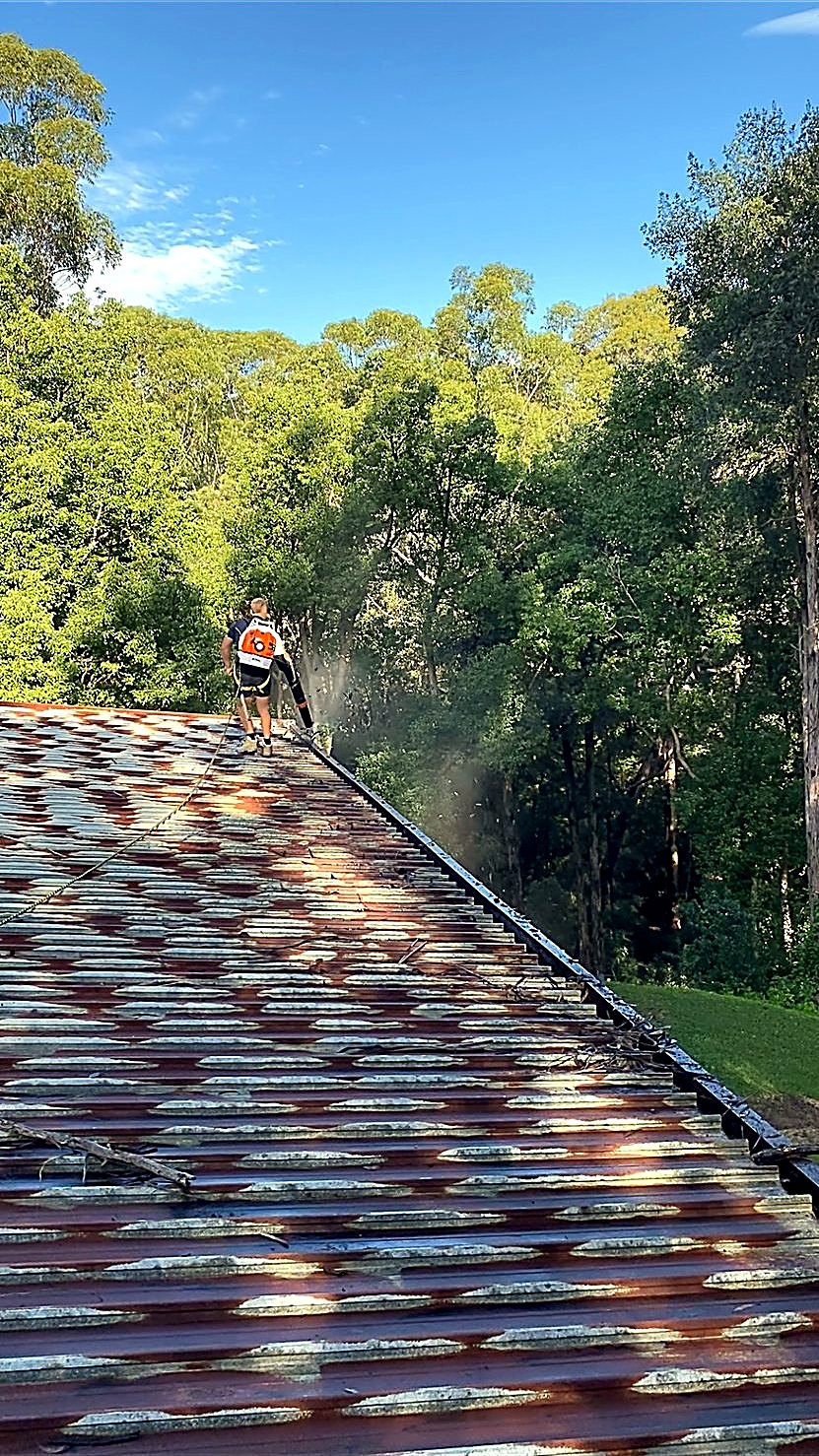 Gutter Cleaning Sydney