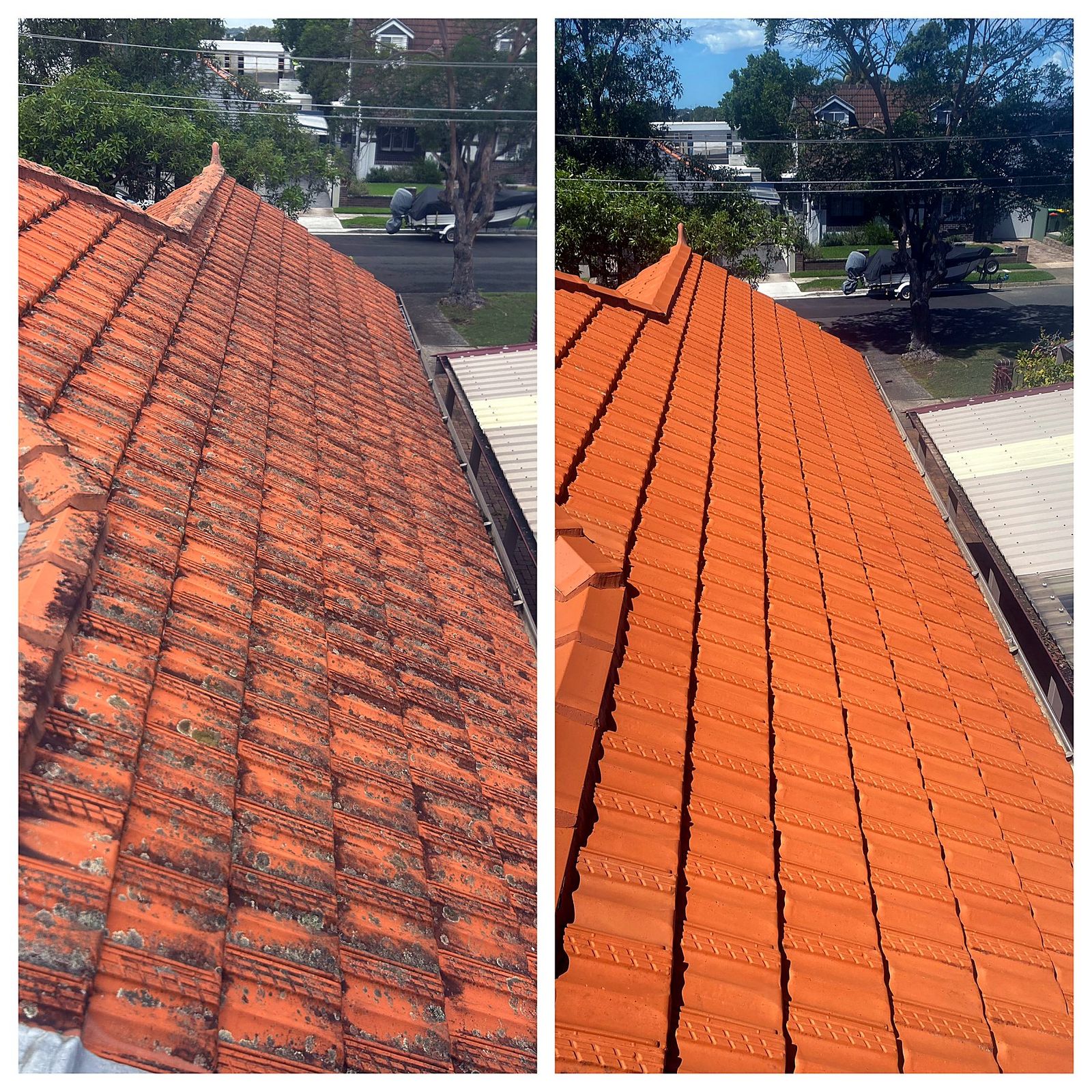 Roof Cleaning Sydney