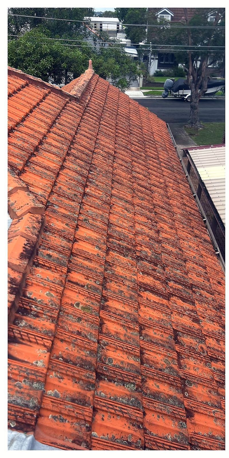 Roof before cleaning